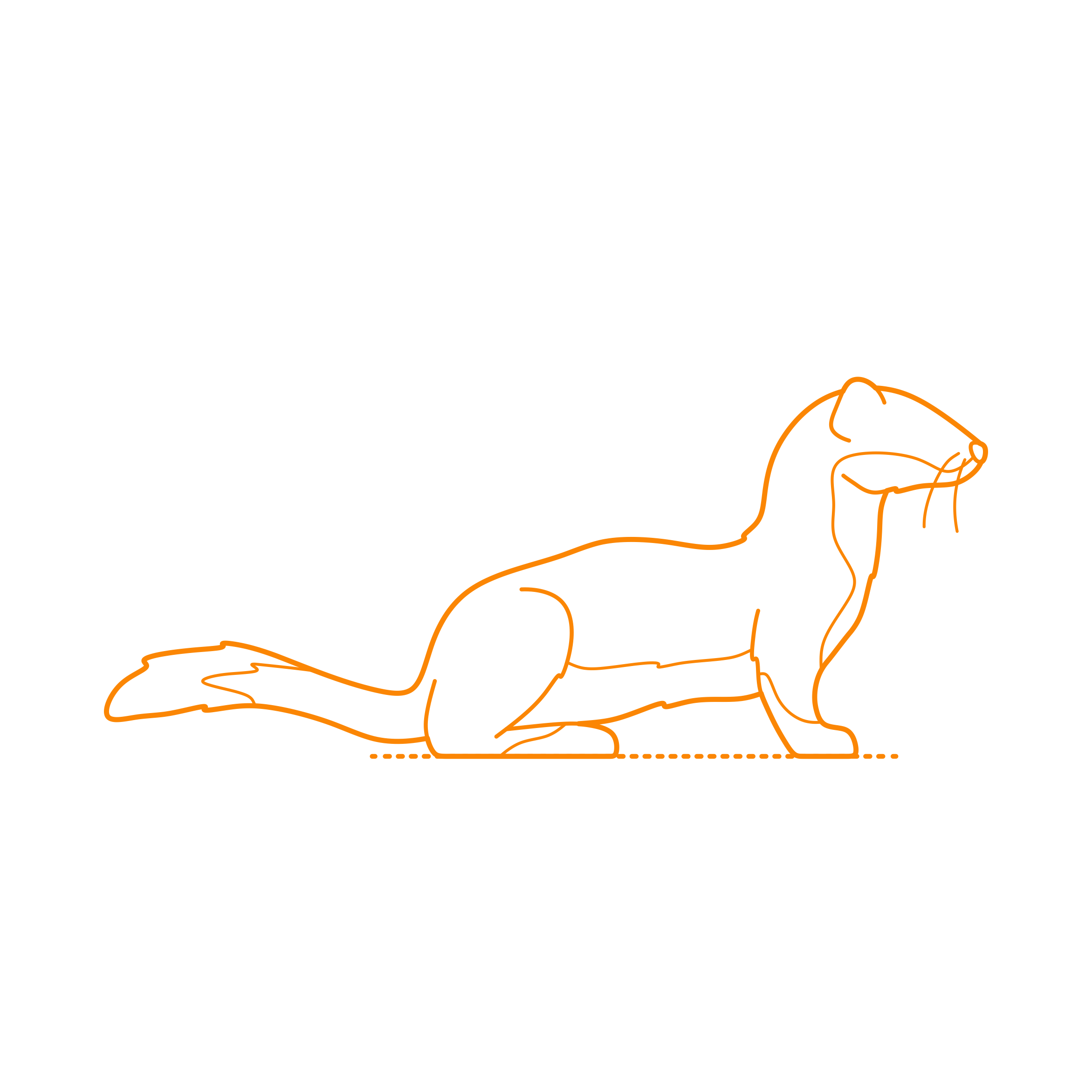 Animals Mustelids Stoat Contour Svg Vector Free Vectors